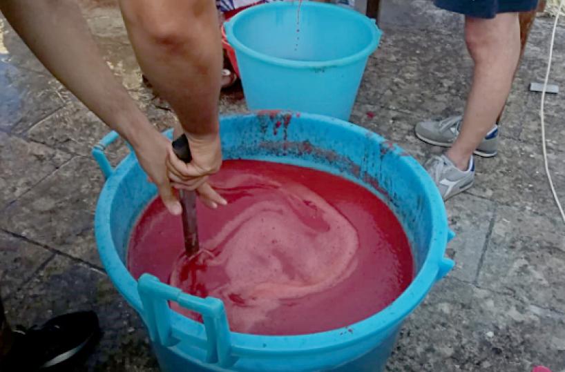 Conserve in Puglia, per risparmiare si riprende il rito della marmellata e della salsa «fai da te»
