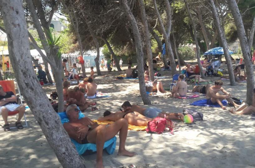 Torre dell'Orso, rogo distrugge una parte della pineta