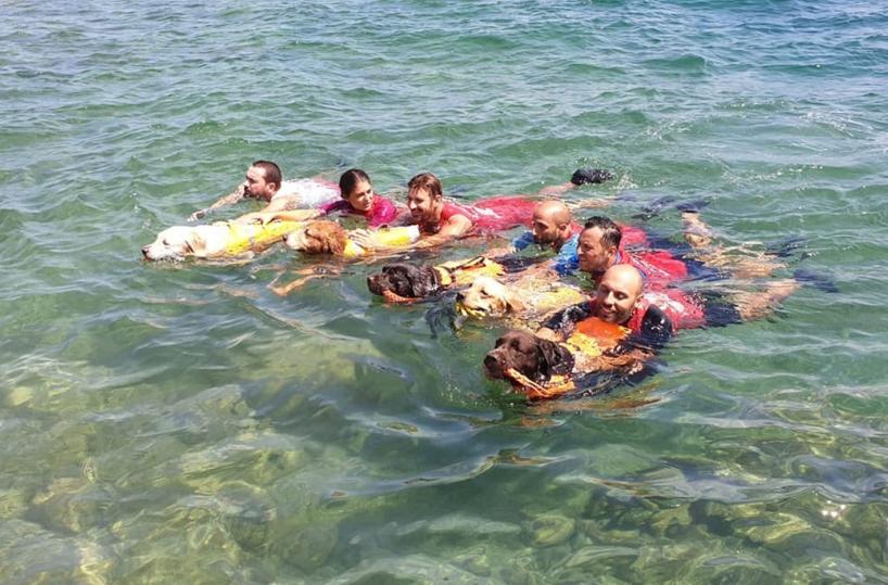 Bari, i cani bagnino di Pane e Pomodoro quest'anno vanno in tour