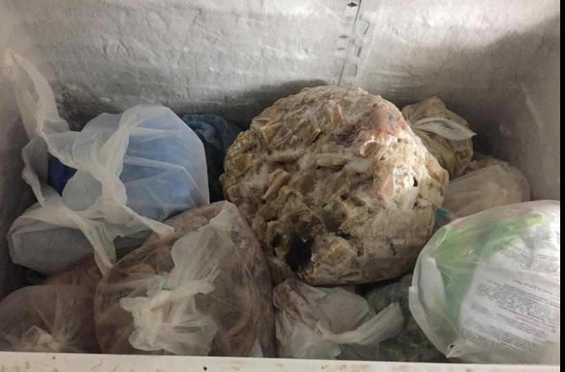 Bari, sequestrati 70 chili di pesce e carne congelata in ristorante