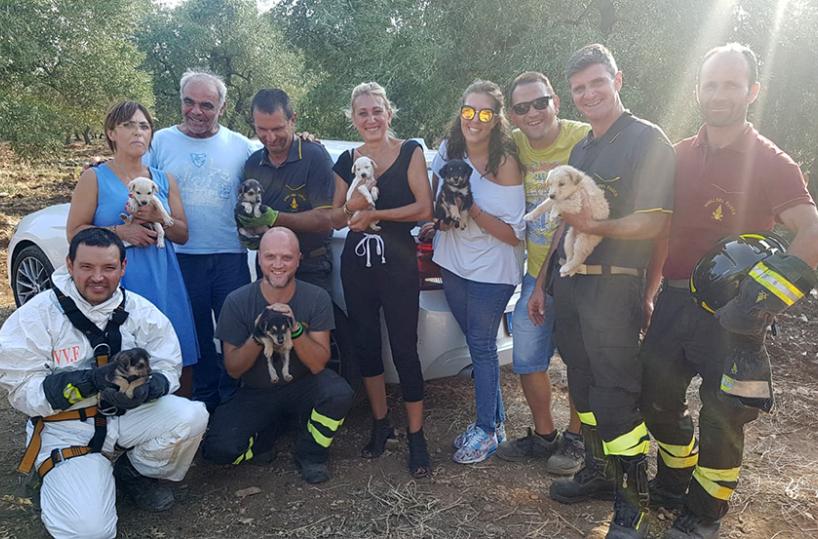 Bitonto, salvati 11 cuccioli chiusi in un pozzo in un cimitero di animali