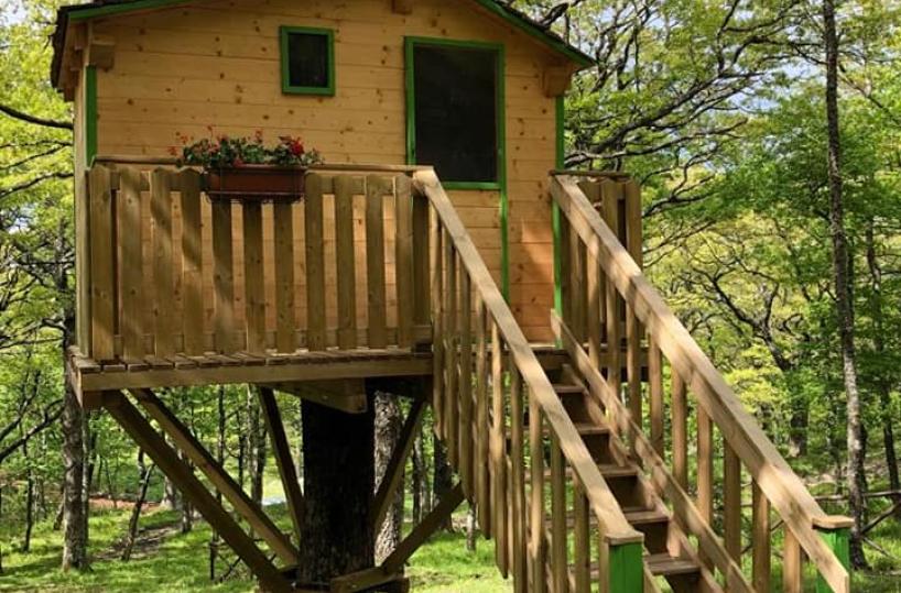 Biccari, ecco i «Bed&Tree»: per la prima volta in Puglia si potrà dormire sugli alberi