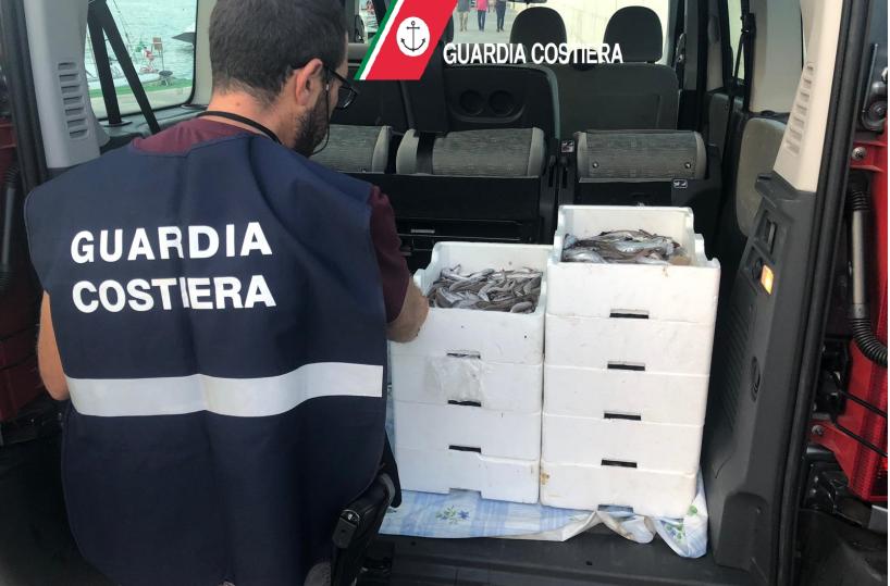 Pesca illegale, setacciata costa da Bari a Manfredonia: denunce e multe per 13mila euro