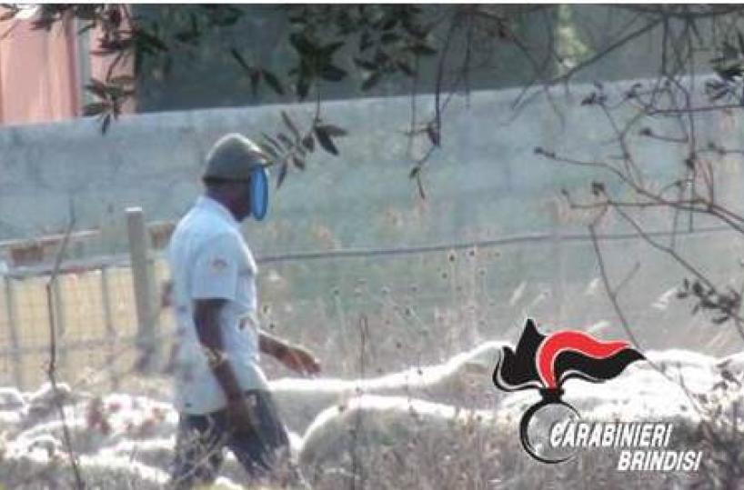Tuturano, pastore schiavizzato e pagato 1,50€ all’ora: arrestata coppia