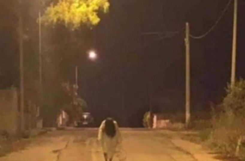 Acquaviva, avvistata nella notte Samara: è il primo caso nel Barese