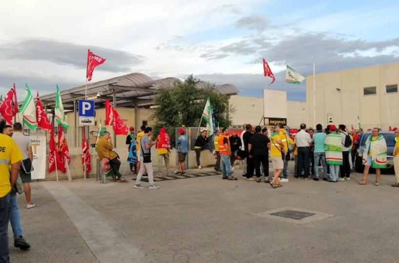 Molfetta, Megamark, scoppia la crisi a rischio 46 lavoratori 