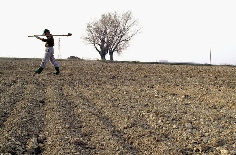 Bari, agricoltori e allevatori choc: «Violiamo le regole per sopravvivere»