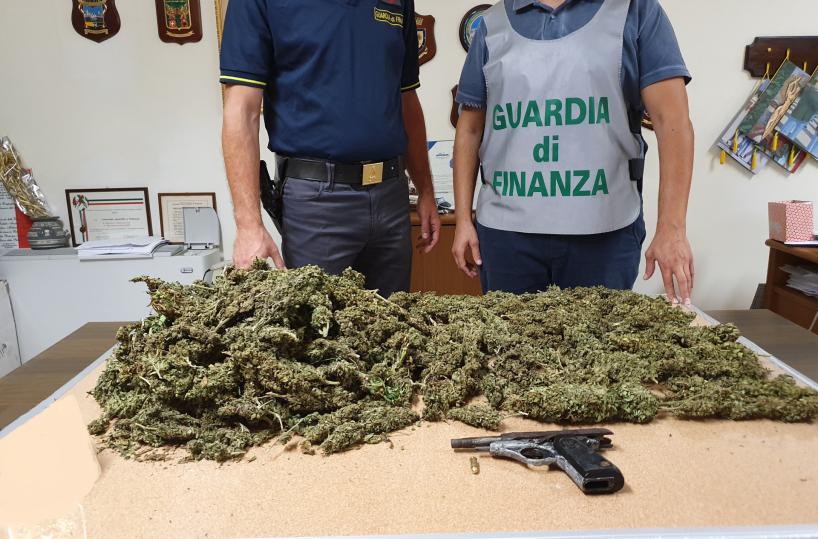 Cerignola, GdF trova 1kg e mezzo di infiorescenze cannabis e una pistola in zona rurale