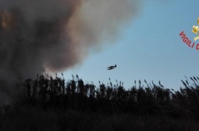 Lecce, fiamme nel bosco di Rauccio: intervenuti i Canadair, evacuate case vicine