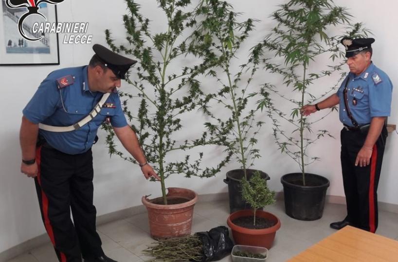 Lecce, pusher viola i domiciliari per andare al supermercato: arrestato
