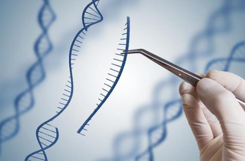Grecìa Salentina, grazie al Dna parte la caccia agli antenati ellenici