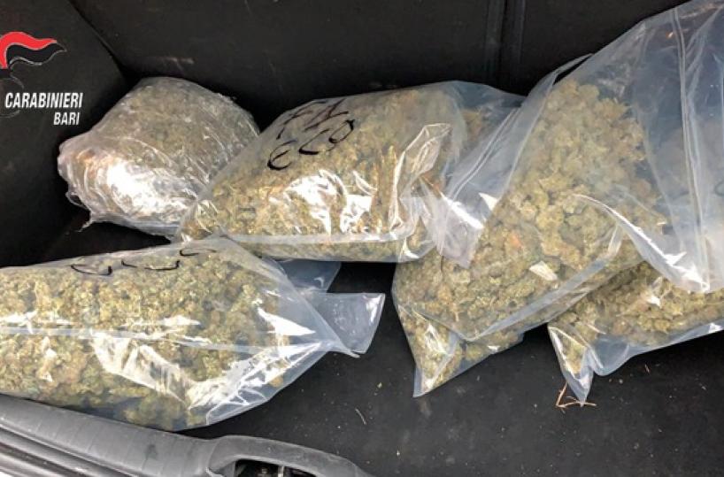 Bari, nell'auto a noleggio aveva 5,5 kg di marijuana: arrestato