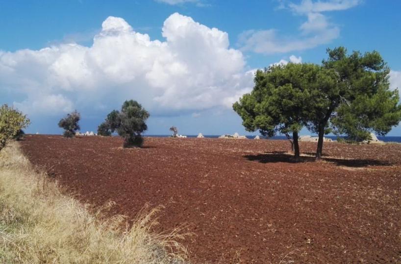 Polignano, anche il Tar dice «no» al resort di Parco dei Trulli