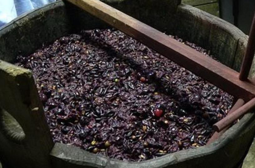 San Severo, forzano silos in cantina sociale e disperdono mosto: indaga la polizia