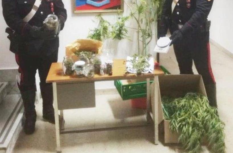 Lizzano, coltivava la marijuana a casa: arrestato 38enne