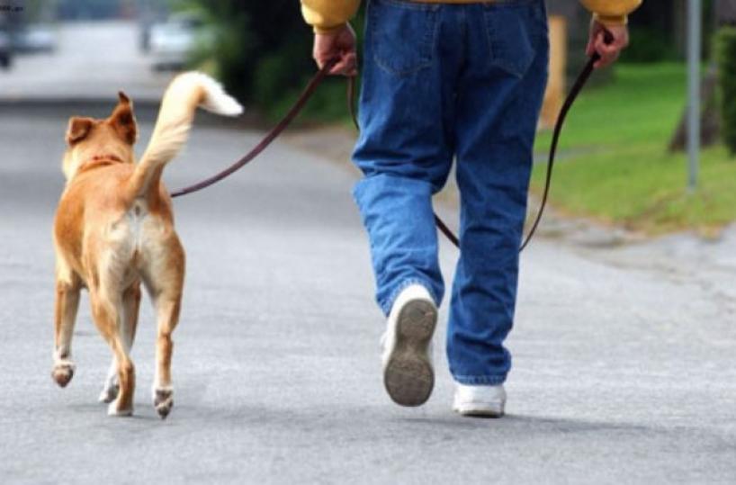 Mesagne, evade i domiciliari per portare a spasso il cane: arrestato
