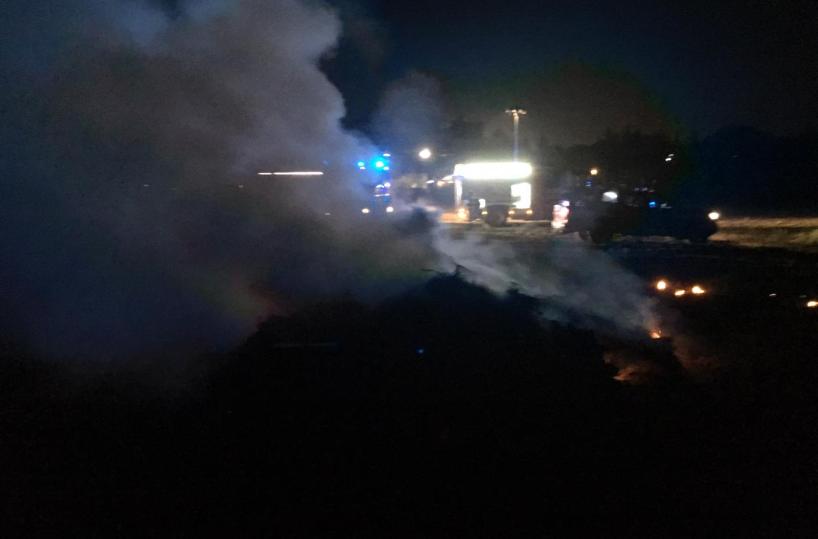 Foggia, roghi notturni in campagna: denunciato 50enne