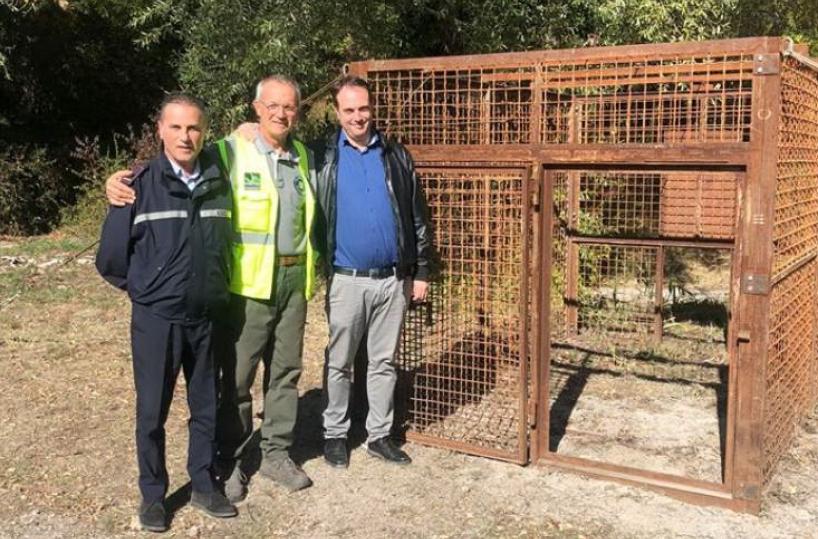 Latronico, installata prima gabbia per frenare l'invasione dei cinghiali