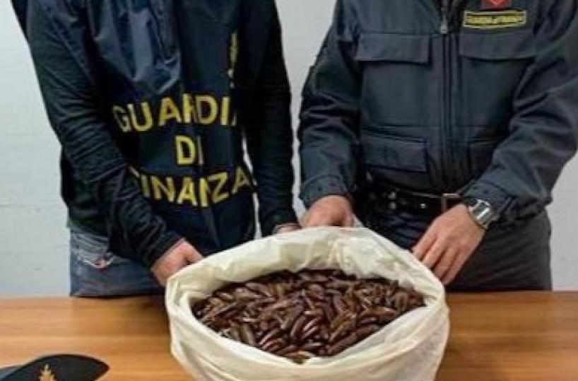 Bisceglie, a bordo con 16 chili di datteri di mare: denunciati due pescatori