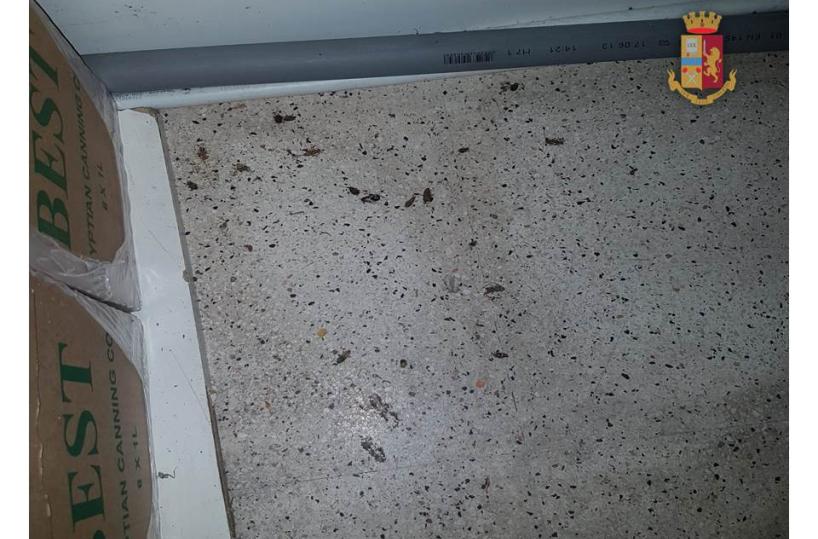 Taranto, vermi nel negozio di alimentari indiano: sequestrati oltre 130kg di prodotti