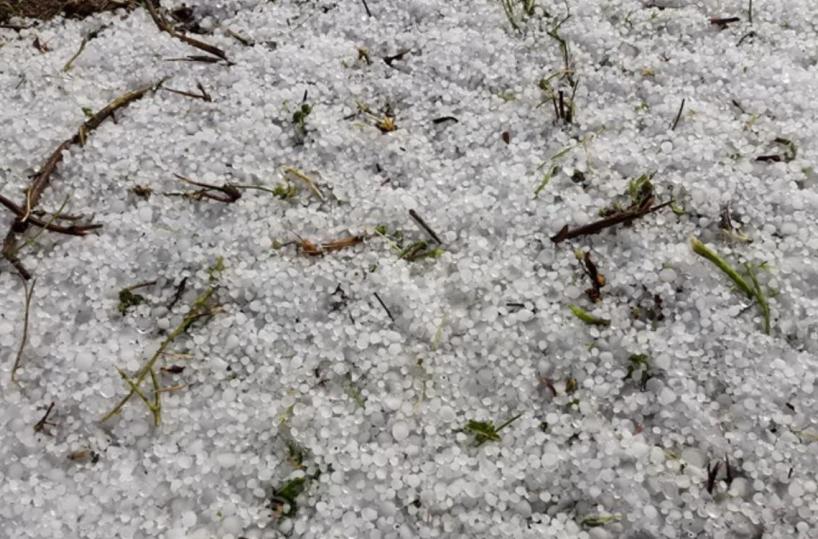 Grandinata record a Parabita, Coldiretti: «Danni ingenti»