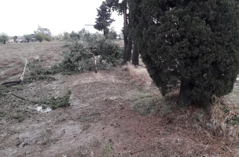 Maltempo, tromba d'aria nel Materano, scuole chiuse