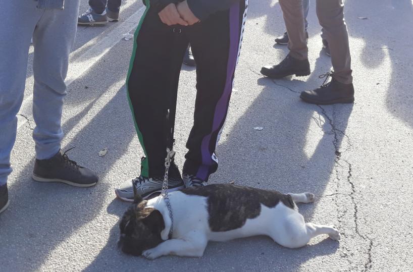 Zeus, la mascotte della protesta Bosch: «Lui è sempre con noi»