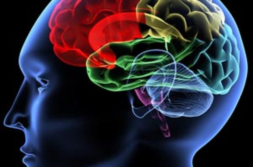 Ictus e telemedicina con gli specialisti pugliesi