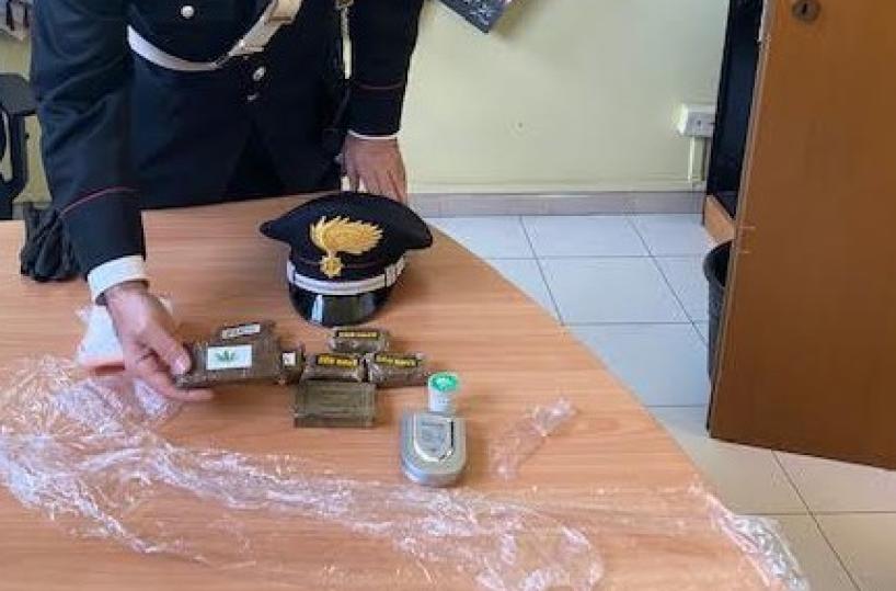 Taranto, hashish tra i rami dell'albero di Natale: arrestato pregiudicato