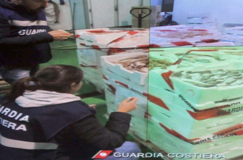 Guardia Costiera, controlli di Natale nel Barese: sequestrate 6 tonnellate di cibo