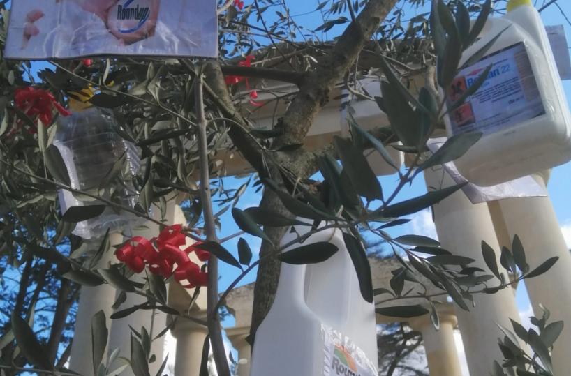 Martano, l'albero di Natale è un ulivo secco con bottiglie di pesticidi al posto delle decorazioni