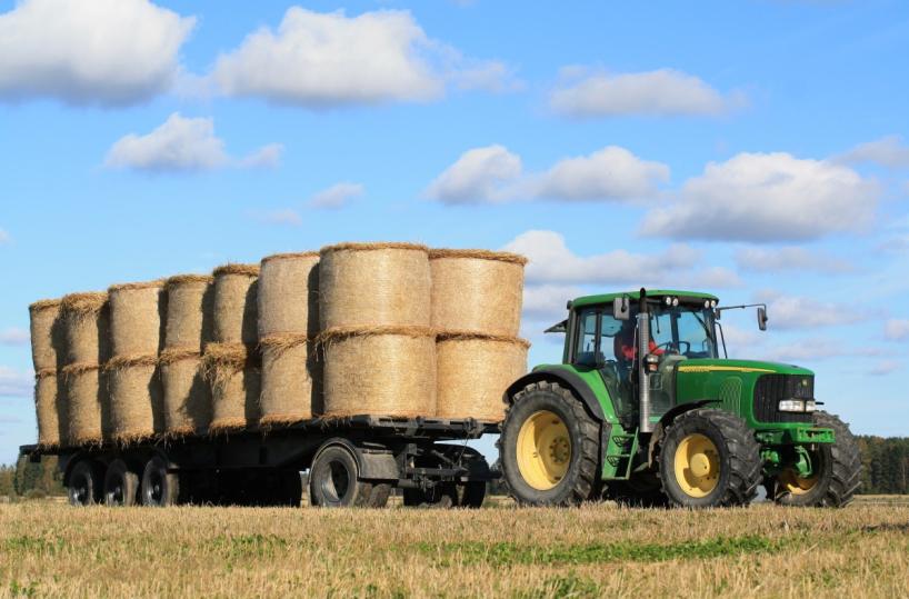 Agricoltura, Puglia rischia 86 mln di euro di fondi. Fitto: Emiliano si vergogni. La replica: avremo la droga