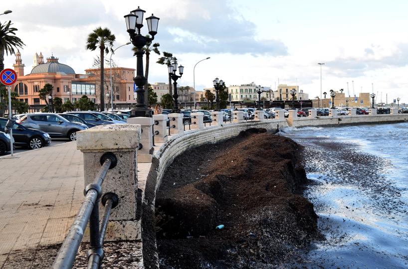Maltempo a Bari, temporali e forte vento in arrivo: scatta allerta gialla