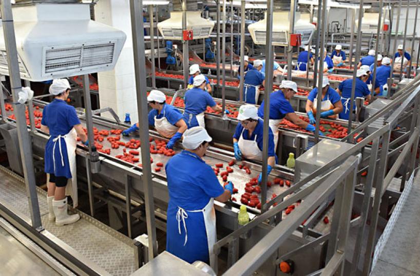 AL LAVORO - In fabbrica