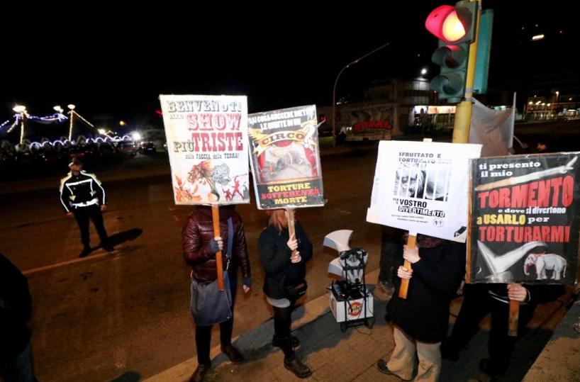 Bai, un presidio per dire no agli animali nel circo