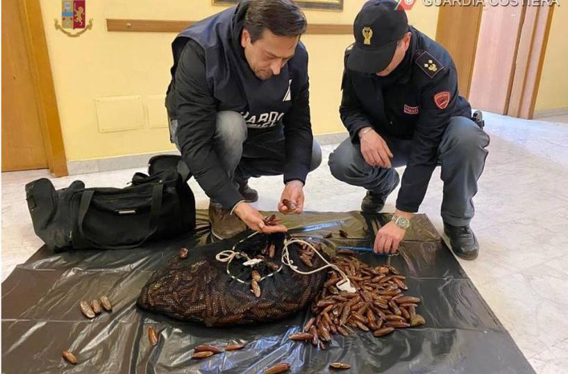 Taranto, in auto con 25 kg di datteri di mare: 2 uomini denunciati
