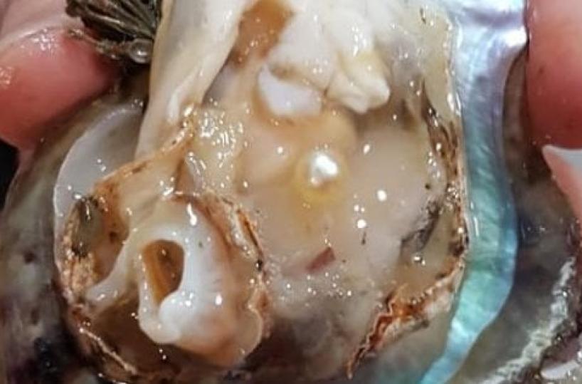 Taranto, compra ostriche per pochi euro e trova una perla vera: «La regalerò a mia moglie»