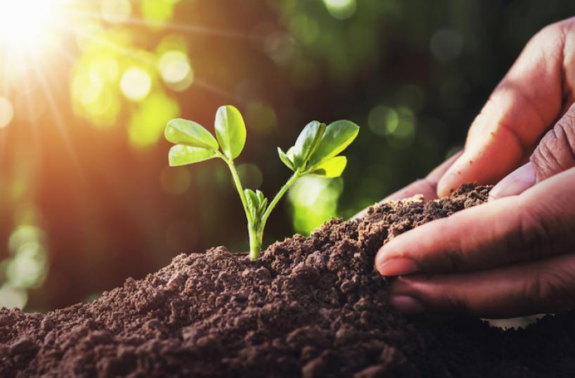 Alla ricerca del nuovo paradigma nel settore Agri-Food 