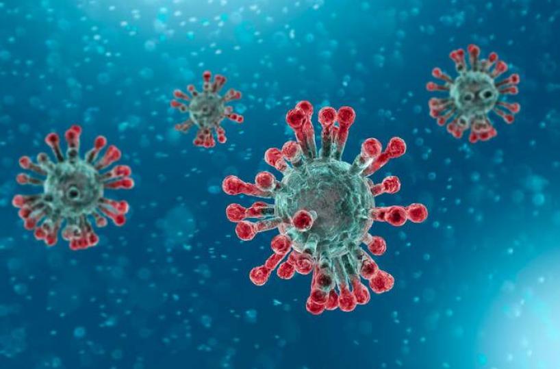 Coronavirus: la parola a Susanna Esposito, Presidente dell’Associazione Mondiale per le Malattie Infettive e i Disordini Immunologici (WAidid). 