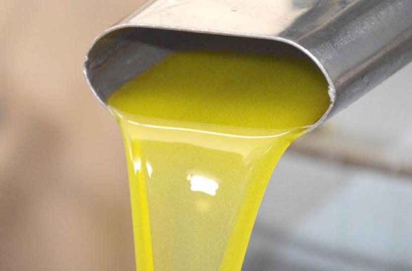 Le bontà delle olive pugliesi di tante varietà