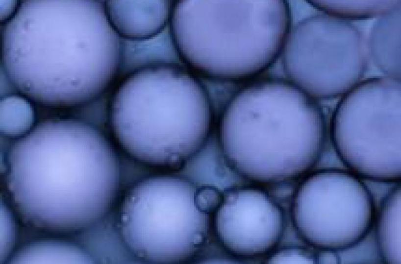 Casarano, truffa dei radiofarmaci da 3,6mln: nessuna condanna