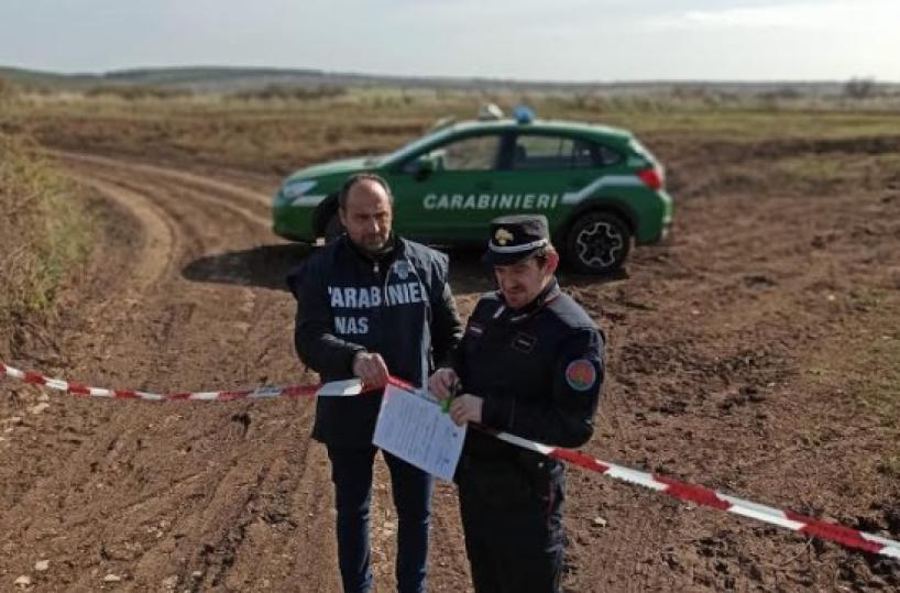 Corato, frantoio sversava illecitamente acque reflue: sequestrato terreno di 15 ettari
