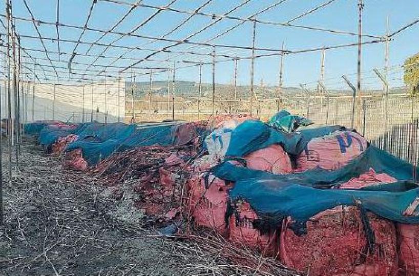 Potenza, sacchi di amianto abbandonati sulla Basentana: «Problema risolto»