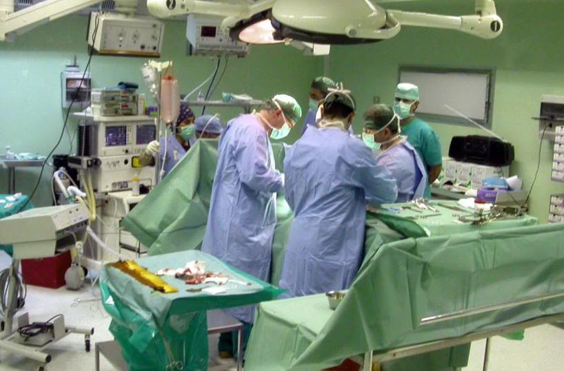 Trapianti, cuore di maiale al posto di quello di un uomo
