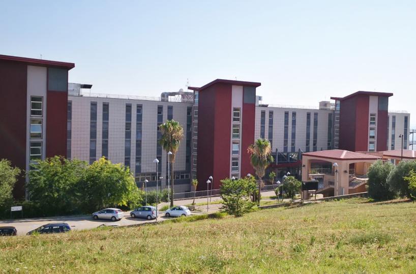 Matera, davanti all'ospedale si pianta un albero per ogni bimbo nato