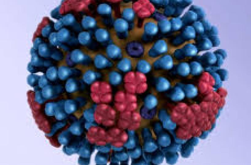 Menefreghismo l’altro virus che devasta il Belpaese