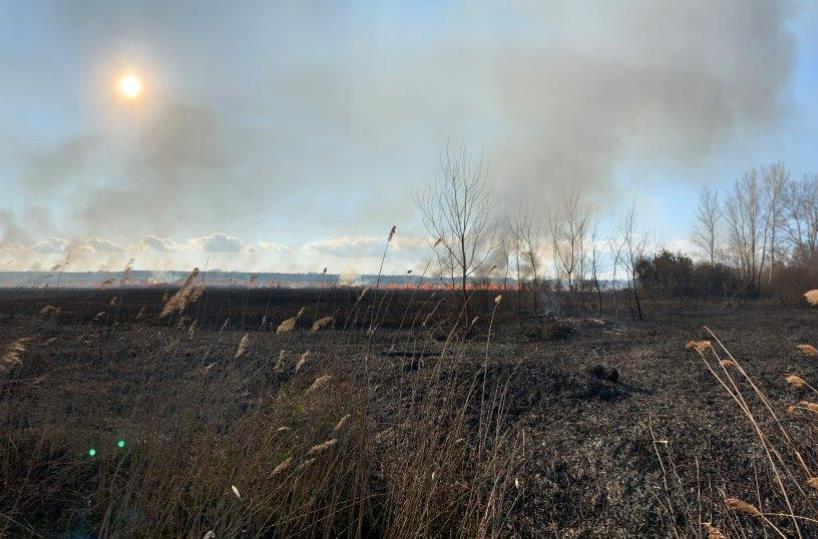 Otranto, avanza l'incendio di ieri pomeriggio: divorati 5 ettari di vegetazione