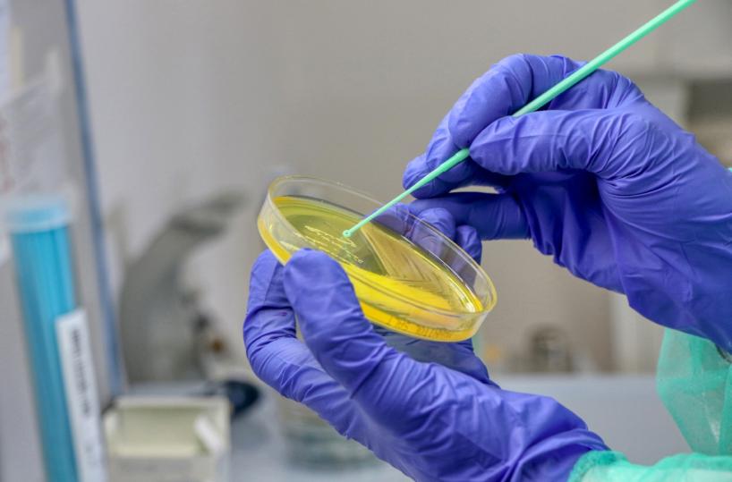 Coronavirus Puglia, trend stabile  per i contagi: 66 casi. 10 i morti. Allarme per i focolai nelle Rsa. Tutti i dati 