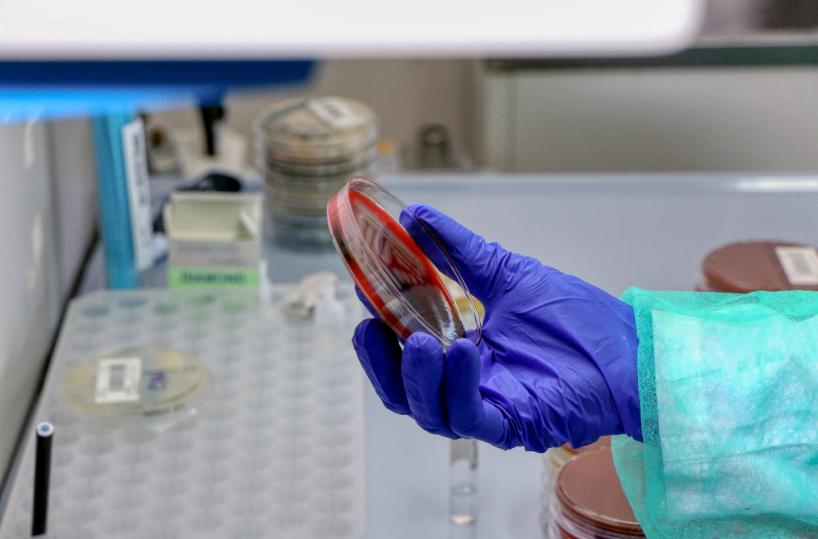 Coronavirus Puglia, trend stabile per i contagi: 74 nuovi casi. 11 i morti. Salgono i guariti. Tutti i dati 