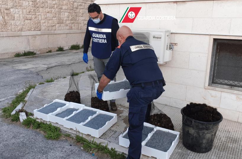 Bari, nel furgone 2 quintali di prodotti ittici illegali: 6mila euro di sanzione